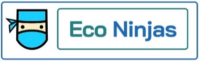 Eco Ninjas